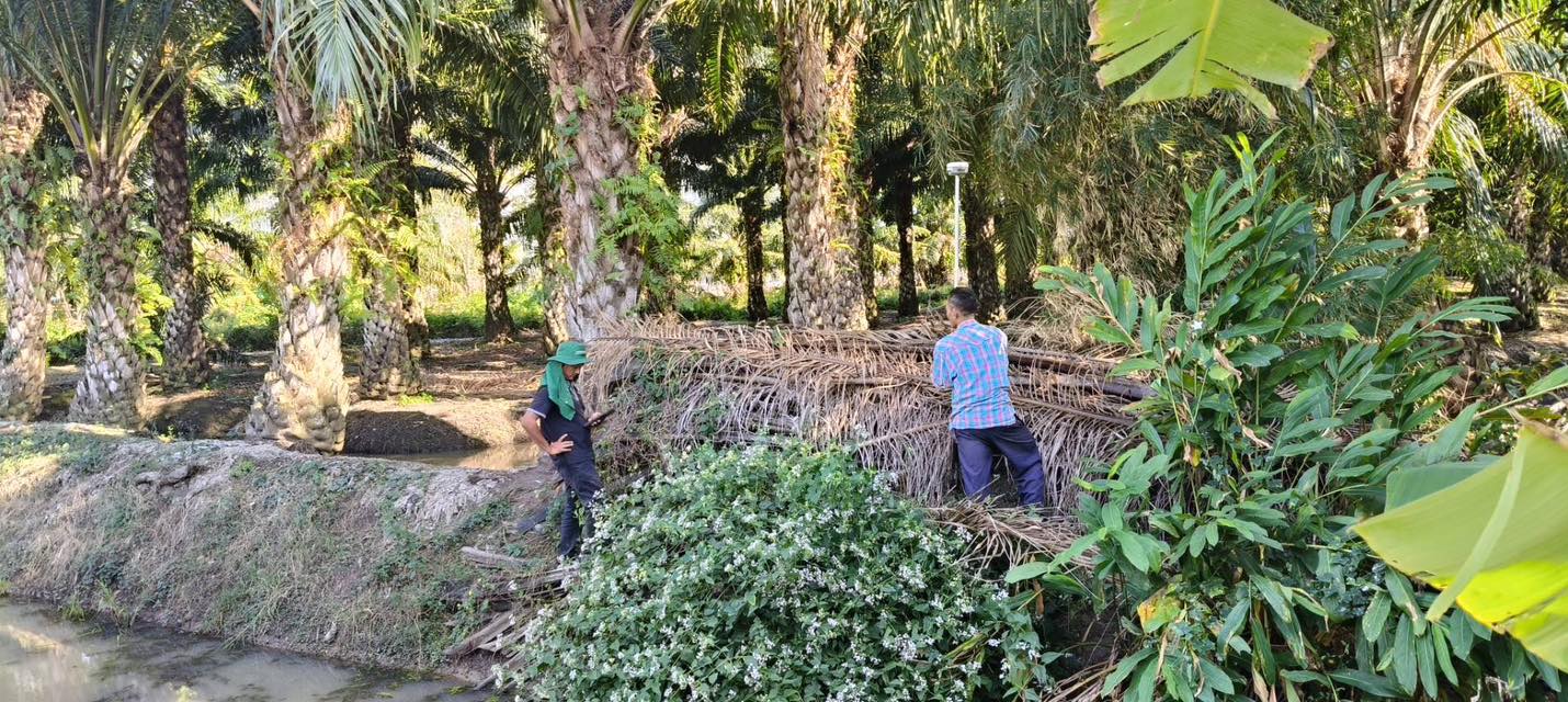 title - นายจักรพงศ์ วรเสฏฐ์ฐากูร นายช่างสำรวจอาวุโส และนายศักดิ์สิทธิ์ พรายระหาร ผู้ช่วยนายช่างสำรวจ ดำเนินการรังวัด ตามที่องค์การบริหารส่วนตำบลบึงชำอ้อ ขออนุญาตใช้ที่ดินเพื่อกิจการสาธารณูปโภค ในเขตปฏิรูปที่ดิน เพื่อปรับปรุงถนนท้ายซอยปฏิรูปที่ 1-12 กลุ่มที่ 152 ตำบลบึงชำอ้อ อำเภอหนองเสือ จังหวัดปทุมธานี